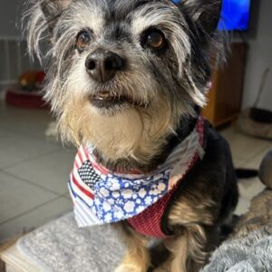 Contest -Patriotic Lulu Barnhill