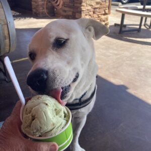 Contest - Rownen Austin Likes Ice Cream