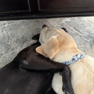 Contest - Snuggling Tina and Charley Seamon