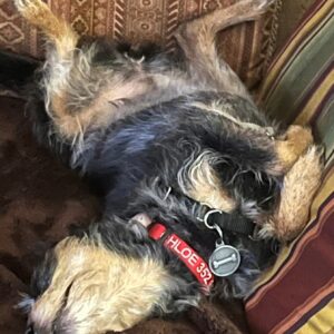 Contest - Sprawling Chloe Coletta