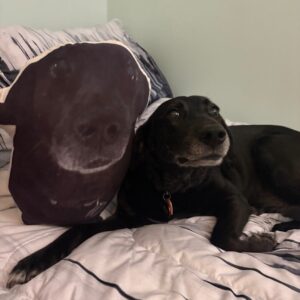 Contest - Thelma-Kendall