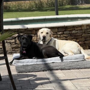 Contest - Poolside Tina and Charley Seamon